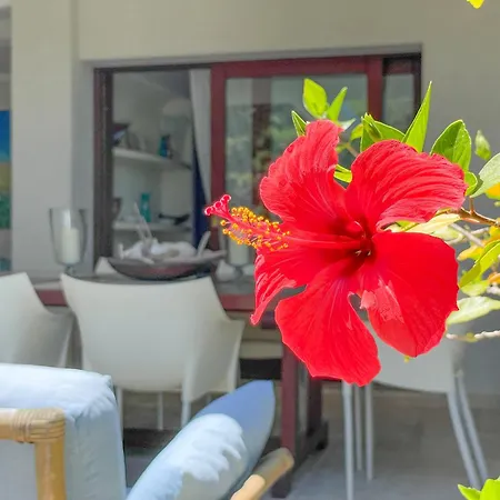 Terrazza Dell'artista Portobello - Spiaggia Privata וילה *