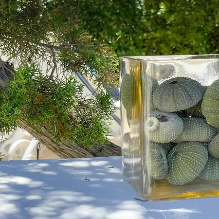 Terrazza Dell'artista Portobello - Spiaggia Privata וילה